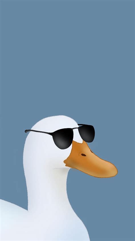 Duck with sunglasses, very cool, animal, funny HD phone wallpaper | Pxfuel