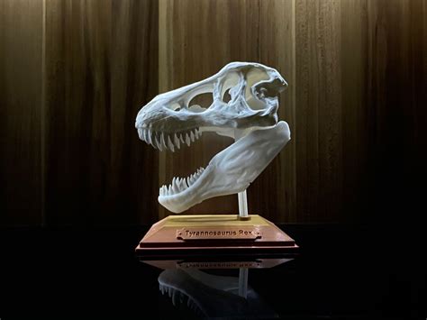 Realistic T-rex Skull Replica Decorative Rustic Tyrannosaurus Figure - Etsy