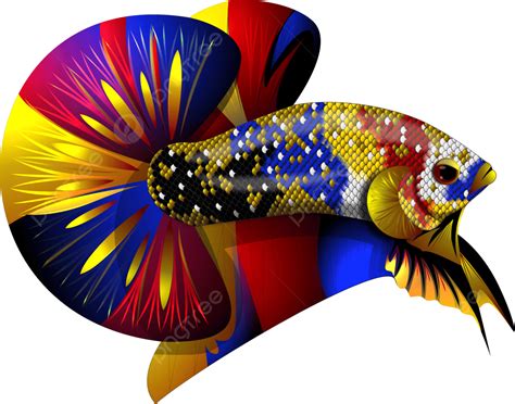 Betta Multy Colour, Betta, Cupang, Logo PNG Transparent Image and Clipart for Free Download