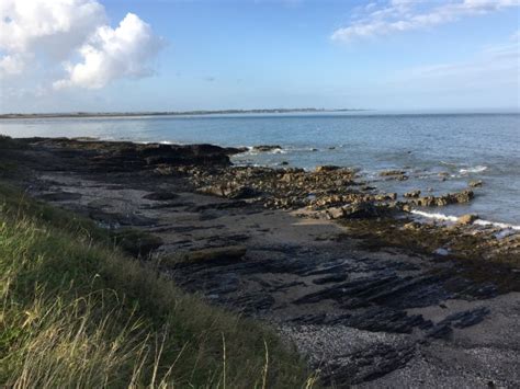 Portmarnock beach (27) – UK Fossil Collecting