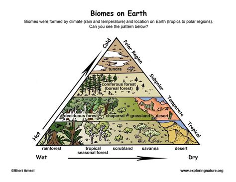 Biomes - Locations on Earth