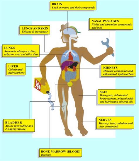 Chemical Safety - Health Safety & Environment