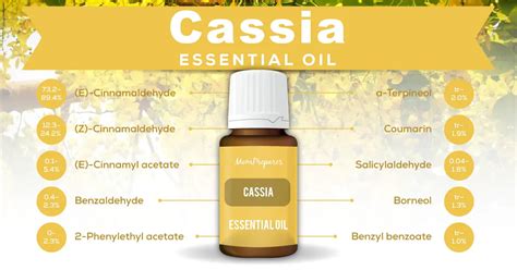 Cassia Essential Oil - The Complete Uses, Benefits, and Dangers Guide