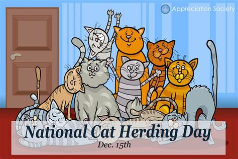 National Cat Herding Day | Happy cat, National cat, Cats