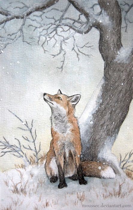 Lè fox | Fox art, Fox drawing, Animal art