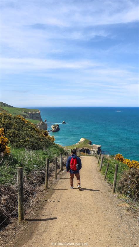 Tunnel Beach: The One Dunedin Walk You Can't Miss