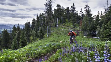 Bozeman, Montana: Mountains and Museums