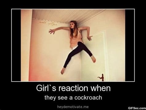 Meme - Girls reaction when - Viral Viral Videos