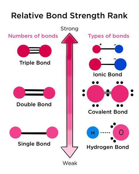 Relative Strengths of Bonds — Overview & Comparison - Expii