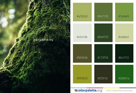 Moss Color Palette ideas | colorpalette.org