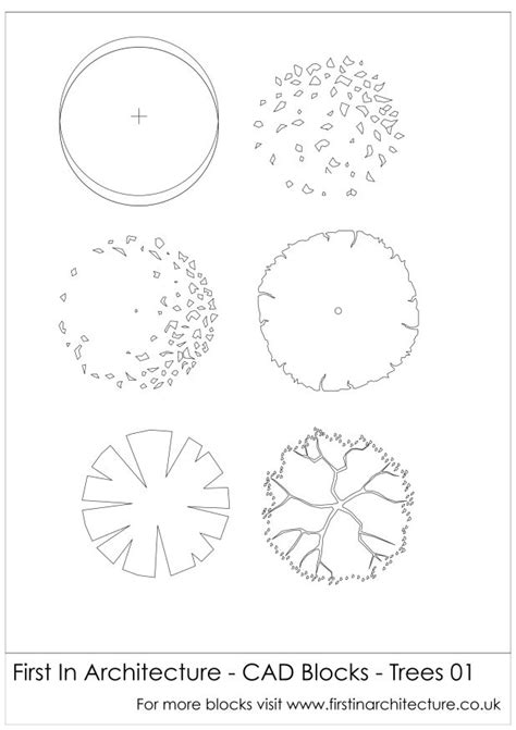 Free CAD Blocks – Trees 01 | Cad blocks, Architectural trees, Tree plan png