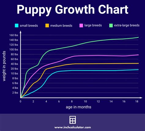 Rhodesian Ridgeback Growth Chart