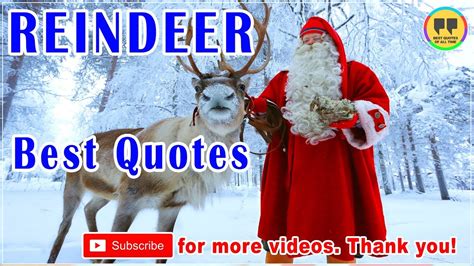 TOP 25 REINDEER QUOTES - Best Christmas Quotes - YouTube