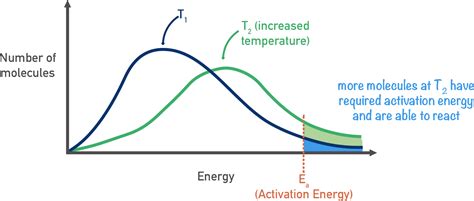 Boltzmann Distribution Curves (A-Level) | ChemistryStudent