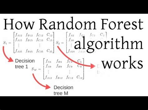 How Random Forest Algorithm Works