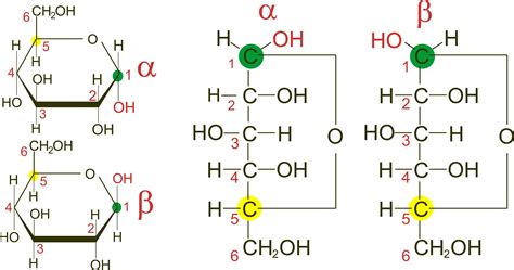 Image result for alpha and beta carbon in glucose Functional Group ...