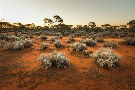 Areas of Australian and territory deserts | Geoscience Australia