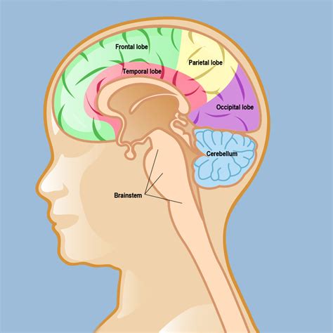 Juvenile Pilocytic Astrocytomas | Neurological Surgery