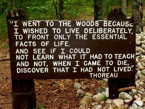 What Is Walden About By Thoreau