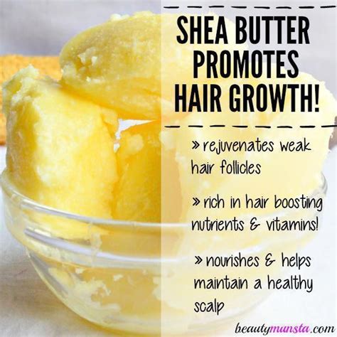 Shea butter is a great natural ingredient to promote hair growth and treat hair loss! Find out ...