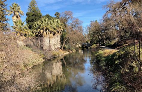 UC Davis Arboretum needs you!