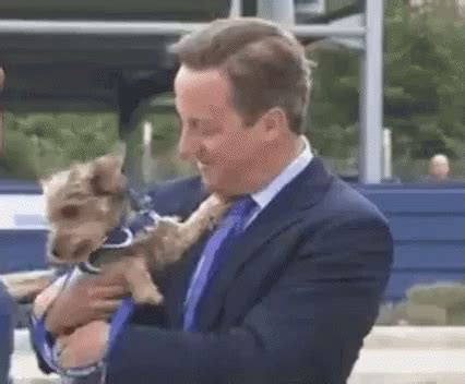 David Cameron GIF - DavidCameron Puppy - Discover & Share GIFs