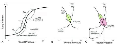 A, Pressure-volume (PV) curve of the lung. At low lung volumes ...