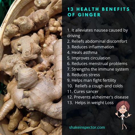 13 Health Benefits of Ginger & Is It Really Good For Weight Loss? - NutriInspector.com