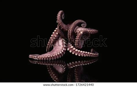 30,759 Octopus Black Background Images, Stock Photos & Vectors ...