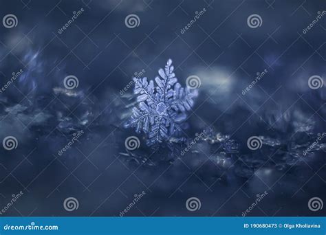 Snowflakes Close-up. Macro Photo Stock Image - Image of crystal, natural: 190680473