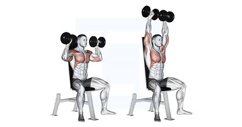 Dumbbell Seated Shoulder Press - Guide, Benefits, and Form