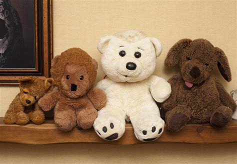 Free Stock Photo 11976 Row of assorted soft plush toys on a shelf | freeimageslive