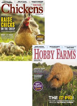 Chickens+Hobby Farms Combo - Hobby Farms