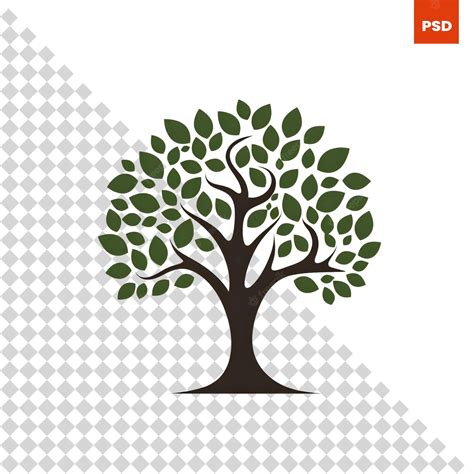 Premium PSD | Olive tree logo design template vector illustration of olive tree icon