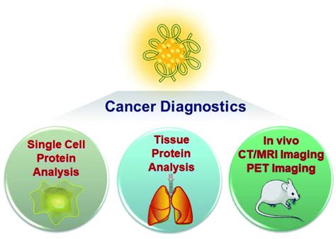 Peptide and protein modified metal clusters for cancer diagnostics - Chemical Science (RSC ...