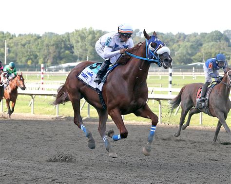 2023 Pennsylvania Derby at a Glance | America's Best Racing