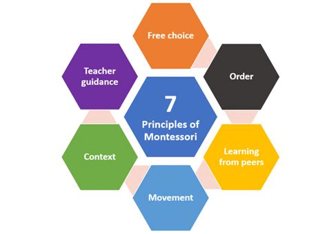 What is Montessori? Seven principles - The Montessori School of Mallorca