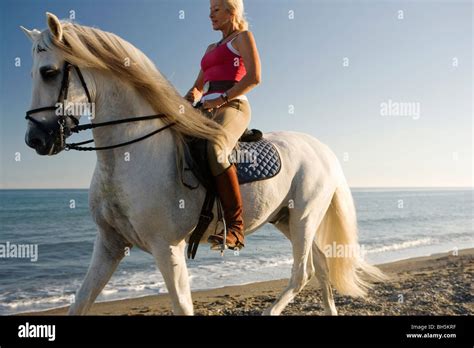 Woman riding horse on the beach Stock Photo - Alamy