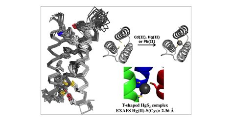 Apoprotein Structure and Metal Binding Characterization of a de Novo ...