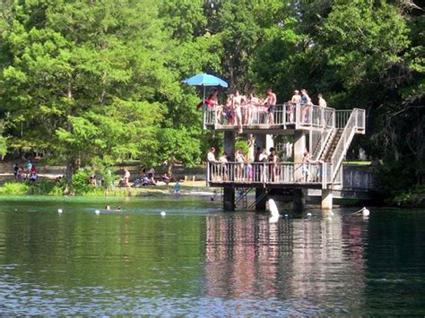 Wakulla Springs State Park, Wakulla Springs | State parks, Florida ...