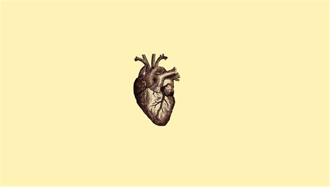 human heart illustration digital art #minimalism #simple simple background #drawing #anatomy # ...