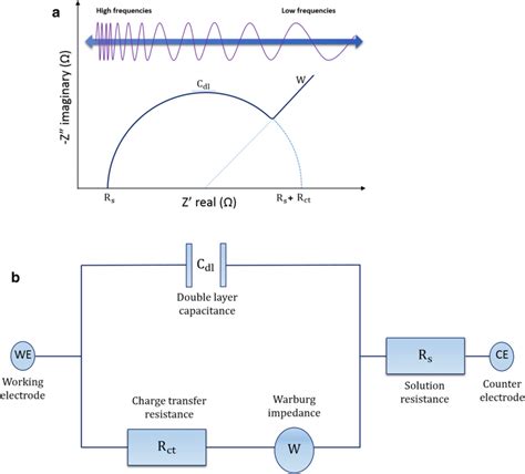 General scheme of a Nyquist plot and its Randles’ equivalent circuit: a... | Download Scientific ...