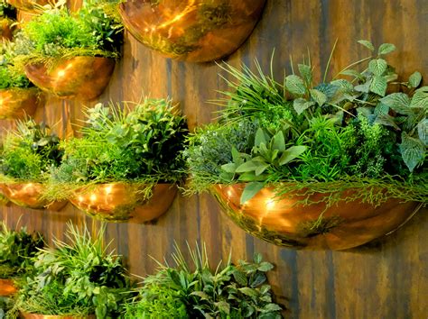 How to Create a Living Wall Herb Garden Inside Your Home - Food ...