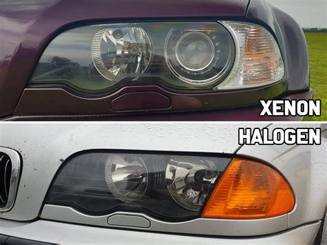 8 Best BMW E46 Headlight Bulbs [Xenon + Halogen]