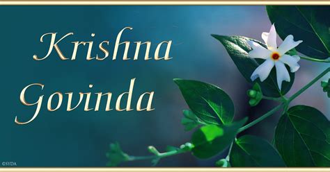 Chanting Krishna Govinda | Siddha Yoga path