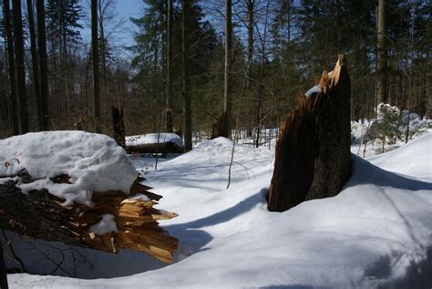 Travel Trip Journey : Bavarian Forest National Park Germany