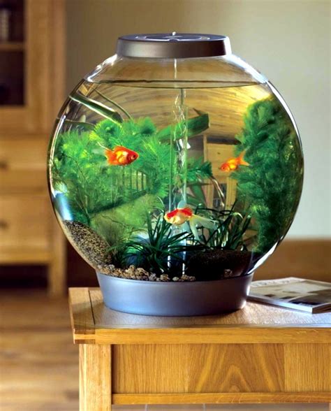 100 ideas to integrate aquariums into your office or living room – Ofdesign