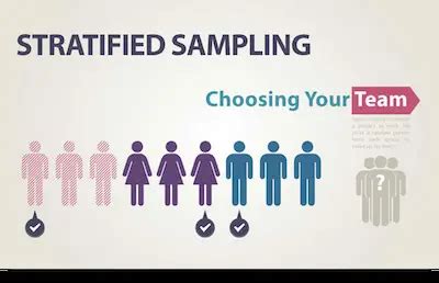 What Is Stratified Sampling? - StatCalculators.com