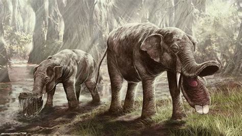 10 Awesome Extinct Animals People Don't Talk About Nearly Enough ...