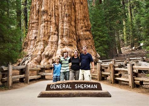 Sequoia Camping Visitors Guide: 8 Campgrounds, 16 Hikes & Attractions | Budget family vacations ...